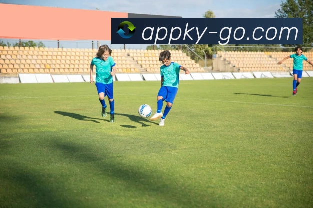 开云平台展示图